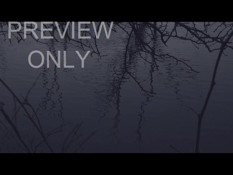 BLEAK BEAUTY RIPPLES STILL