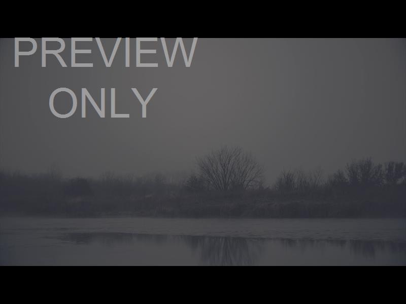 BLEAK BEAUTY SHORELINE FADE STILL