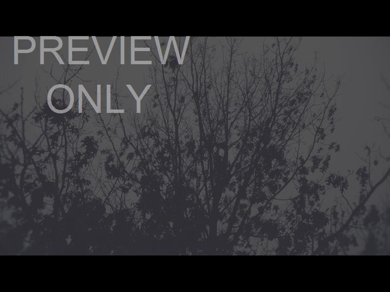 BLEAK BEAUTY TREE FADE STILL