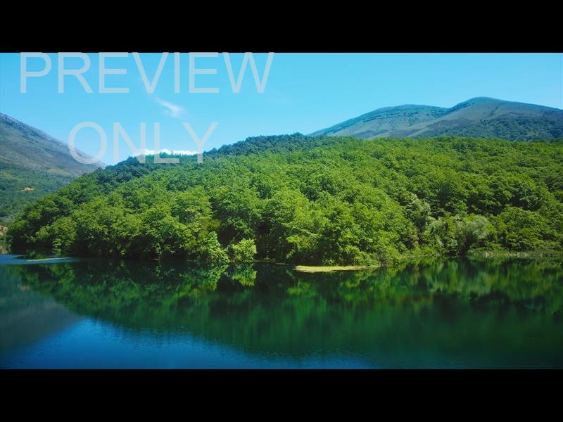 BLUE EYE 5 STILL