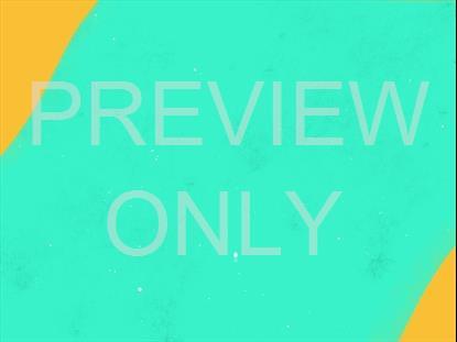 BRIGHT PATCHES COLOR NO WORDS STILL