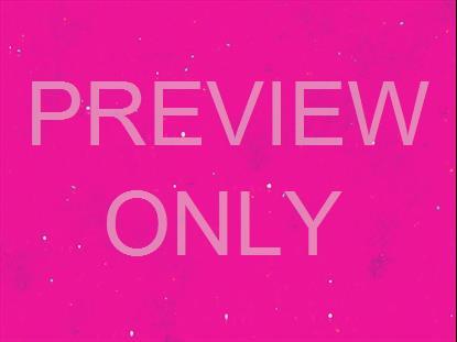 BRIGHT PATCHES PINK NO WORDS STILL