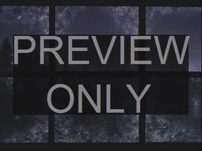 CHRISTMAS WINDOWS 3 ALT STILL