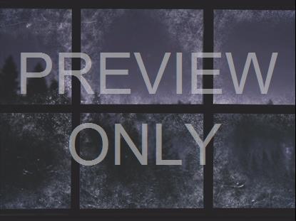 CHRISTMAS WINDOWS 3 STILL