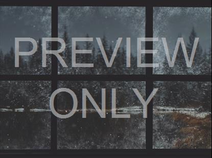 CHRISTMAS WINDOWS 5 STILL