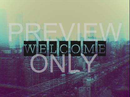 CITYSCAPES WELCOME STILL
