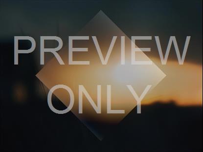 COASTAL DUSK GRASS STILL