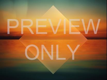 COASTAL DUSK HORIZON STILL