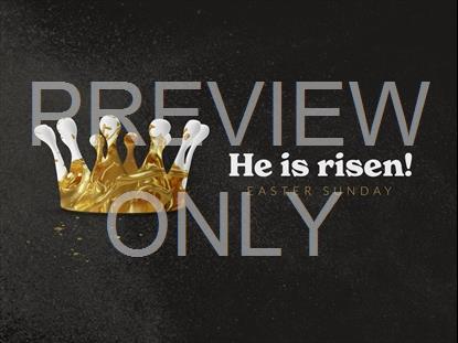 CROWNED EASTER STILL