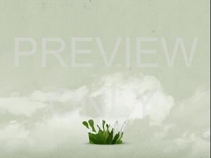 CROWNED GREEN CROWN STILL