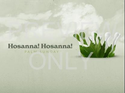 CROWNED PALM SUNDAY STILL