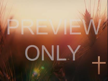 DAYS END BOUNTY CROSS STILL