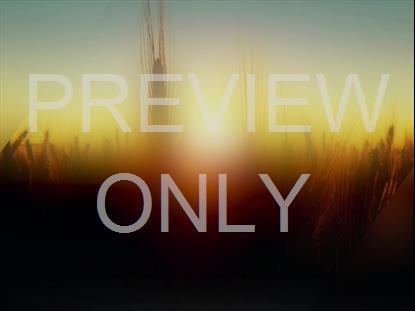 DAYS END FIELD STILL