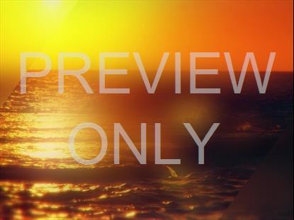 DAYS END GOLDEN OCEAN STILL