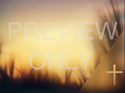 DAYS END GROWTH CROSS STILL