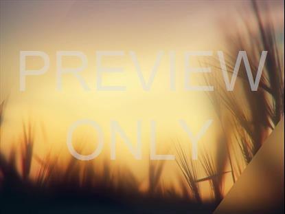 DAYS END GROWTH STILL