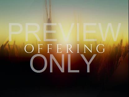 DAYS END OFFERING STILL