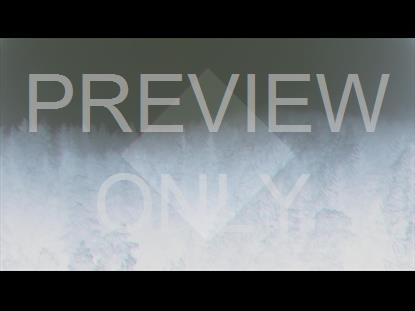 DEEP WINTER TREES ALT STILL