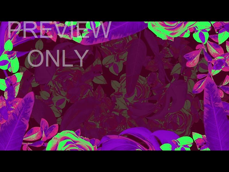 EASTER NEON FIVE ALT STILL