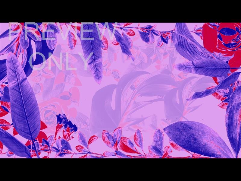 EASTER NEON ONE ALT STILL