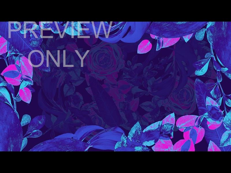 EASTER NEON SIX STILL