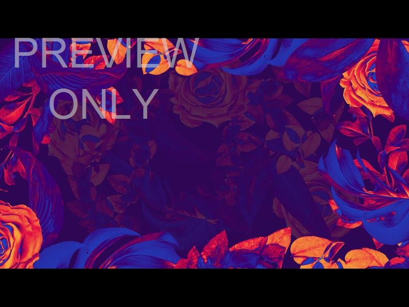 EASTER NEON TWO STILL