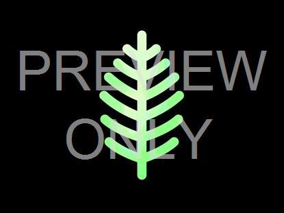 EASTER FOIL PALM SUNDAY ICON STILL