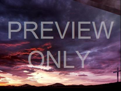 FAITH HOPE STORM STILL