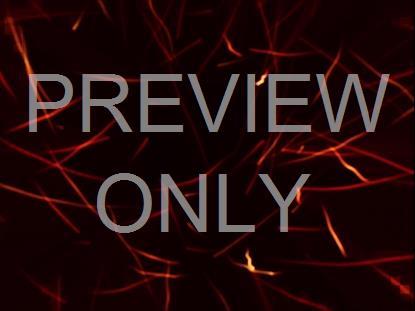 FALL KICKOFF LATTICE STILL