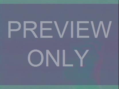 FILTER FRAMES ORANGE ALT STILL