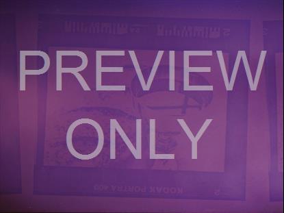 FILTER FRAMES PURPLE STILL