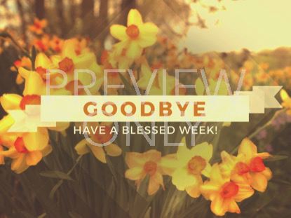 FRESH FLOWERS EXIT STILL