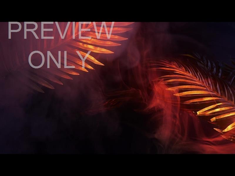 HOLY WEEK REFLECTIONS 12 STILL