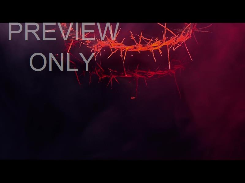 HOLY WEEK REFLECTIONS 6 STILL