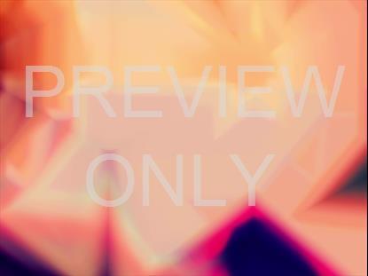 KALEIDOVISION ALIVE ALT STILL