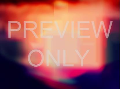 KALEIDOVISION ALIVE STILL