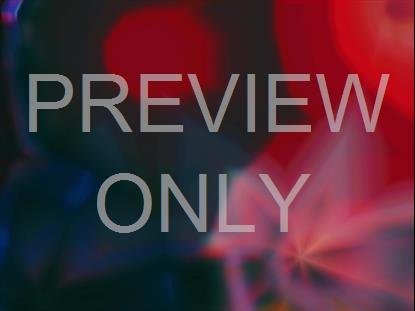 KALEIDOVISION MESSY ALT STILL