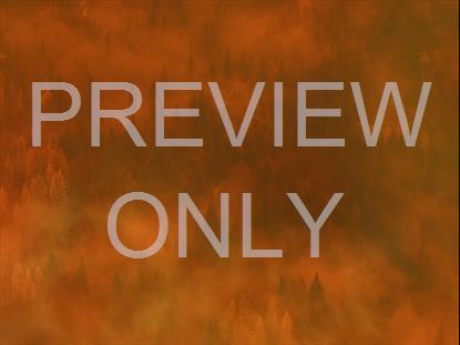 LAST LIGHT HILL STILL