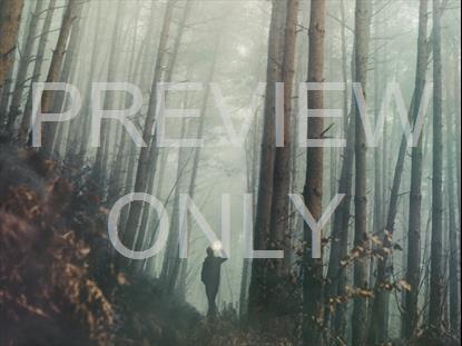 LAST LIGHT LAMP STILL