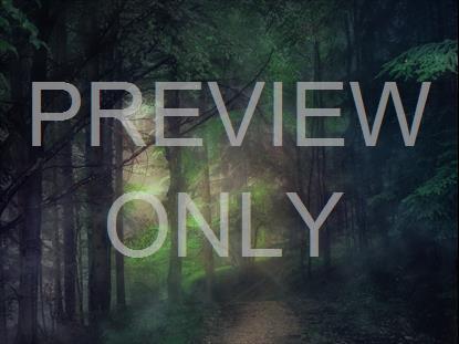 LAST LIGHT WOODS STILL