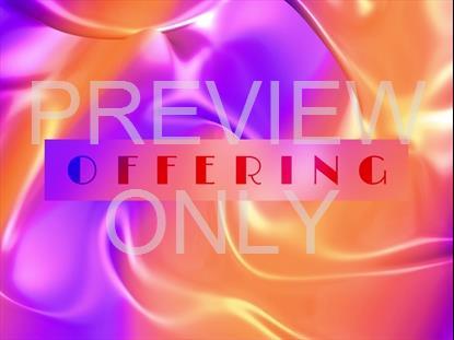 LIQUID CHROME OFFERING STILL