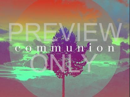 LONELY TREE COMMUNION STILL