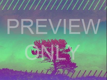 LONELY TREE HORIZON STILL