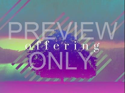 LONELY TREE OFFERING STILL