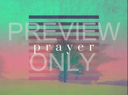 LONELY TREE PRAYER STILL