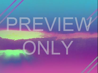 LONELY TREE RAIN BLANK STILL