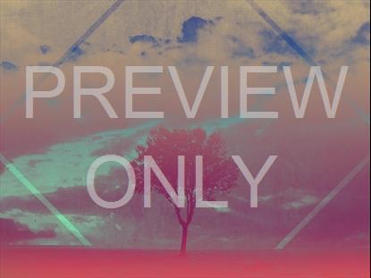 LONELY TREE SINGLE STILL