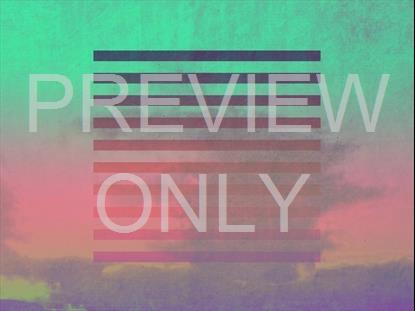 LONELY TREE WINTER BLANK STILL