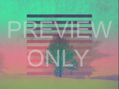 LONELY TREE WINTER STILL