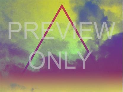 LONELY TREE YELLOW BLANK STILL